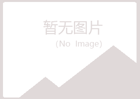 防城港夏岚钢结构有限公司